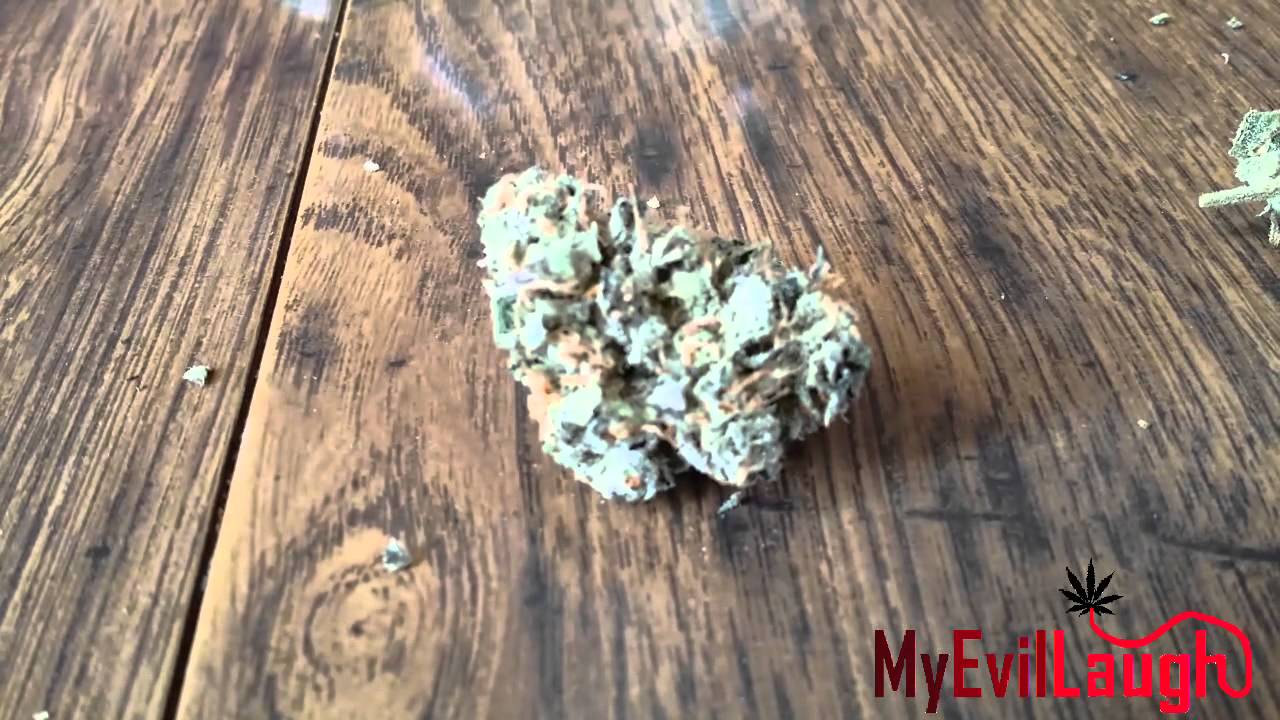 BLUE DREAM - SUN MAIDEN !  HD BONG RIP CARAMEL CREAM UPDATE