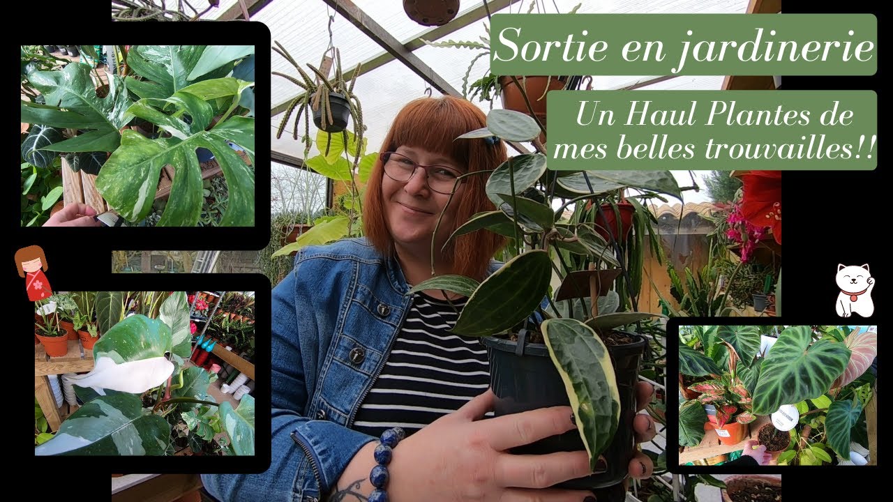 SORTIE EN JARDINERIE🌿 Une belle rencontre | Plantes 
