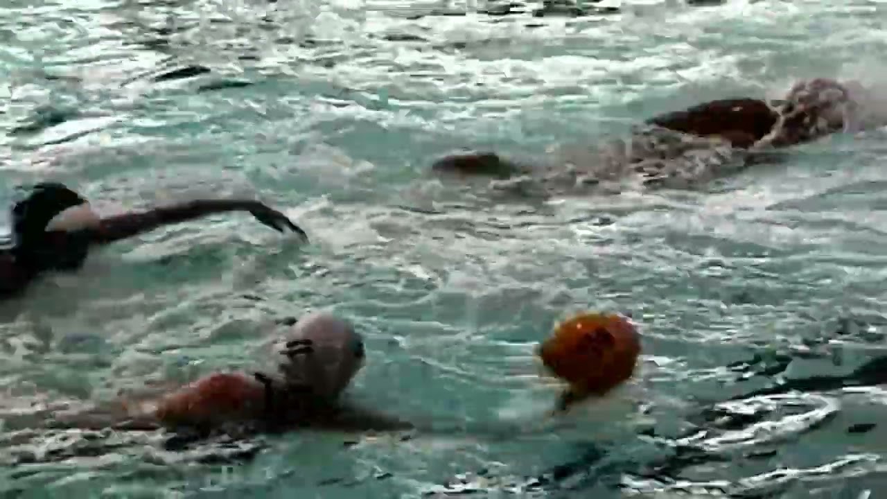 Milford Ohio High School Waterpolo  BOYS AND GIRLS 9/7/99waterpolo