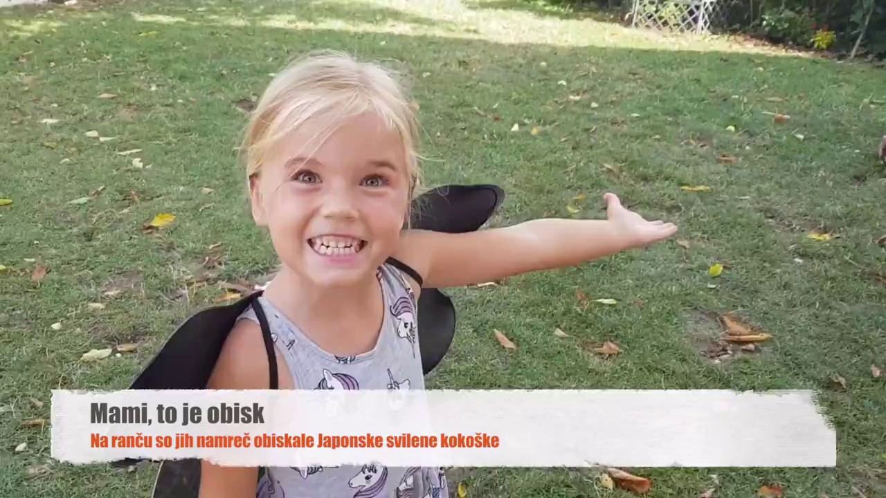 Otroška predstava s konji na ranču Okorn