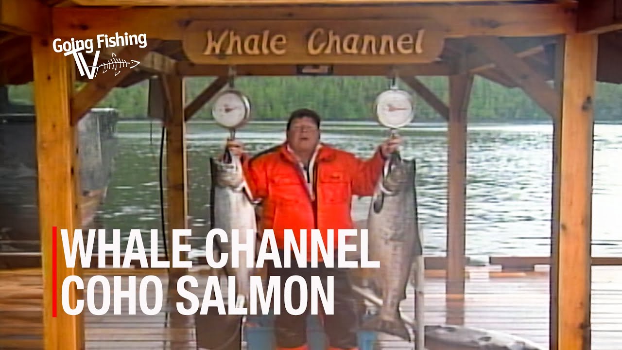 Solo Salmon Adventure – Whale Channel BC