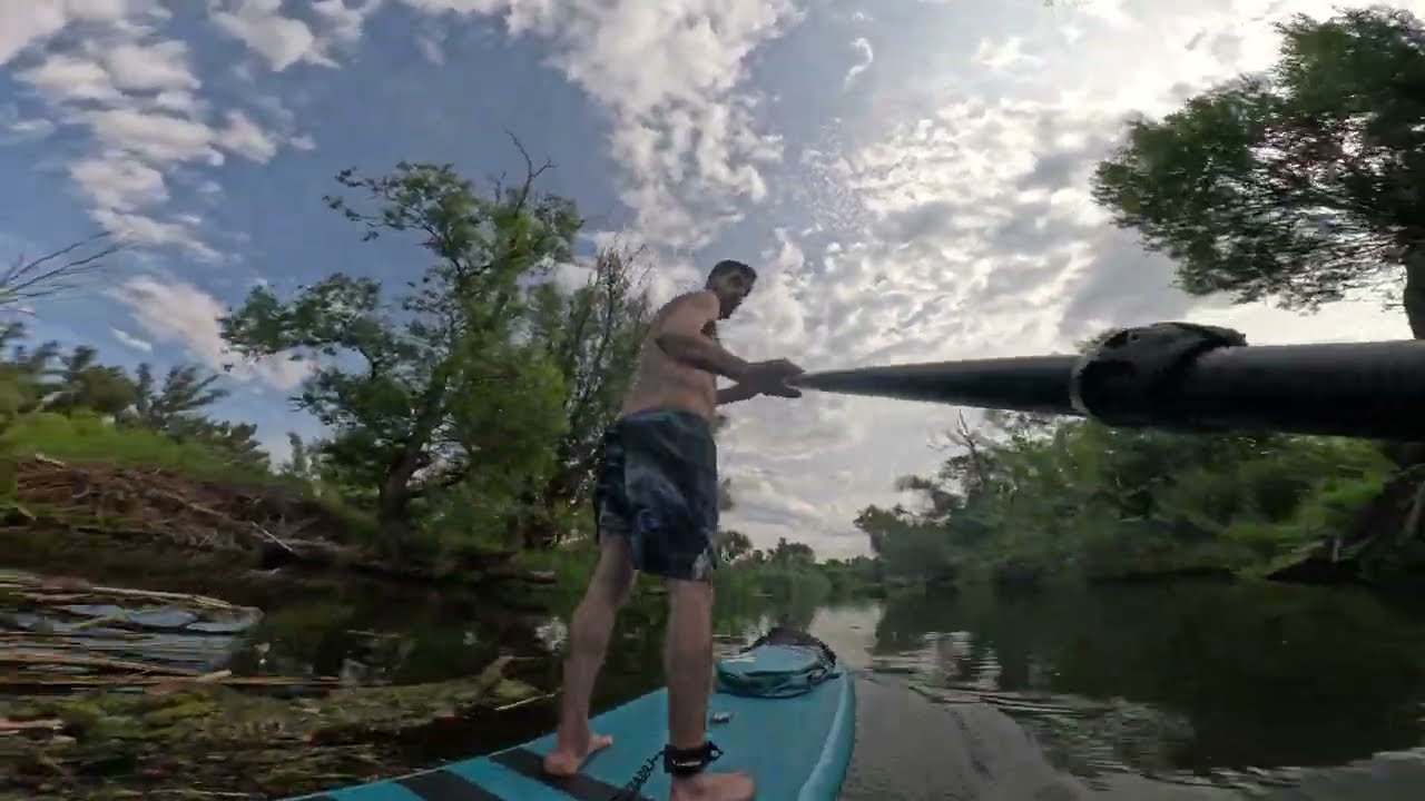 SUP Weiße Elster clearing away trunks