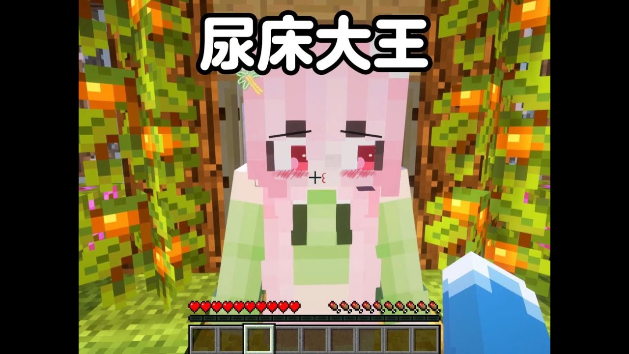 我的世界：尿床大王