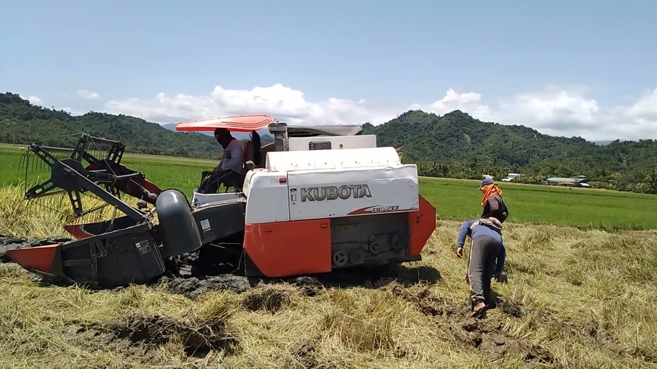 @Dalawang harvester ang tumira