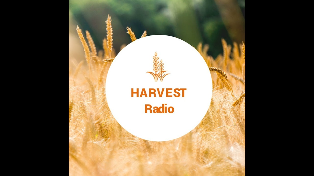 Episode 6: The Underlying Spiritual Dynamics of our Struggle with Material Things