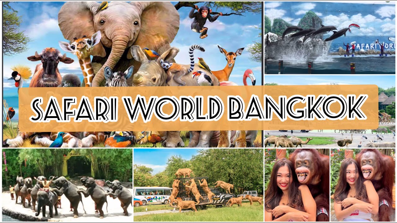 Bangkok Safari World and Marine Park Full Day Trip 🇹🇭 Thailand | All About Safari World Bangkok