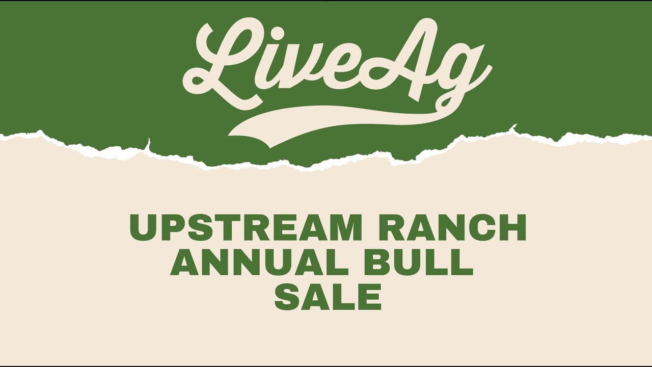 Watch the Upstream Ranch Annual Bull Sale