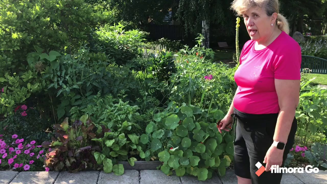 Gananoque Virtual Garden Tour - GHS Park Tour