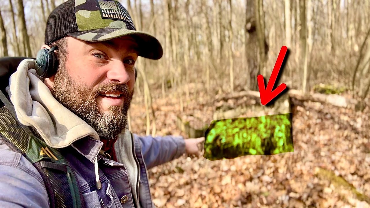 Locate THIS in Forest & Find Coins & Relics all around it! Why?