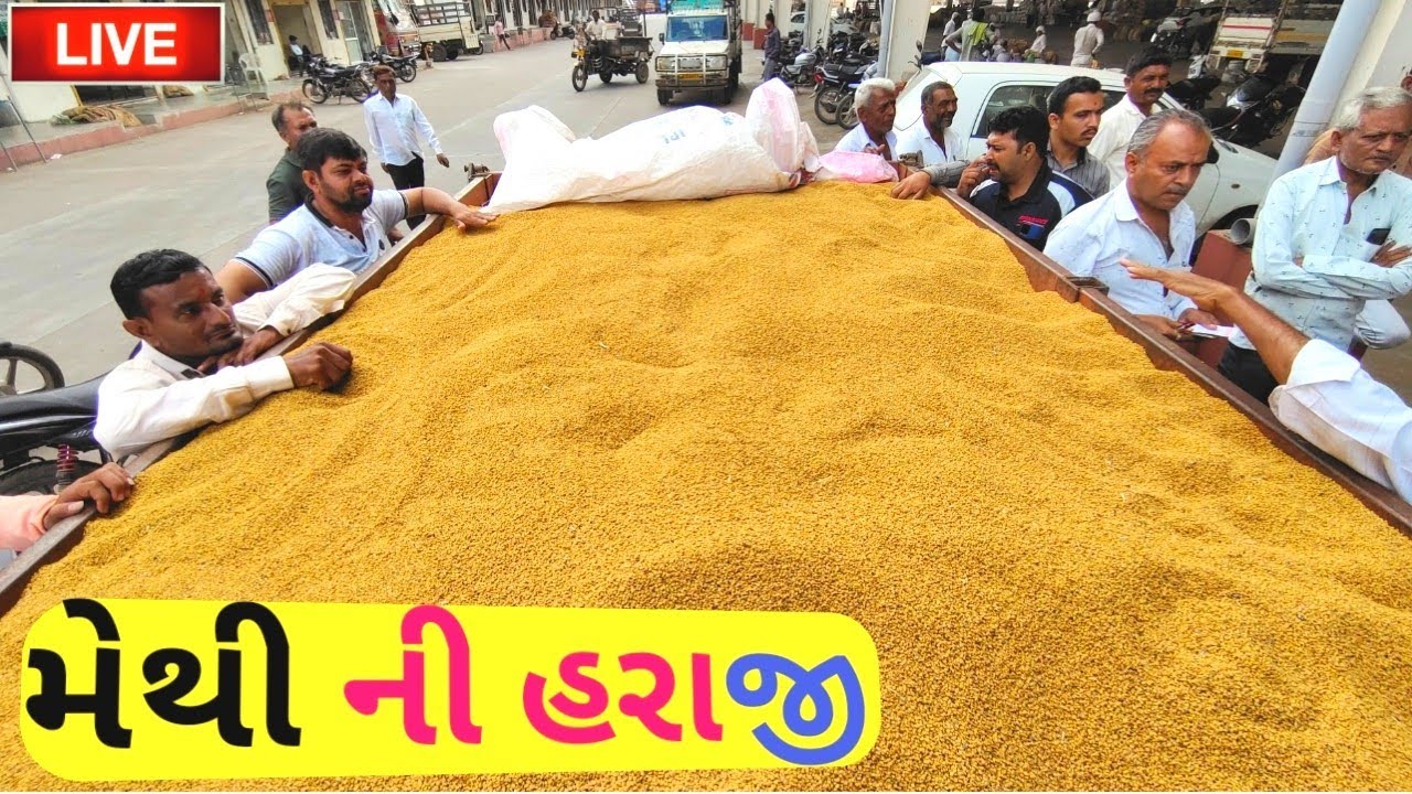 🔴 live મેથી ની હરાજી in jasdan APMC|| Fenugreek seeds|| September 5, 2022
