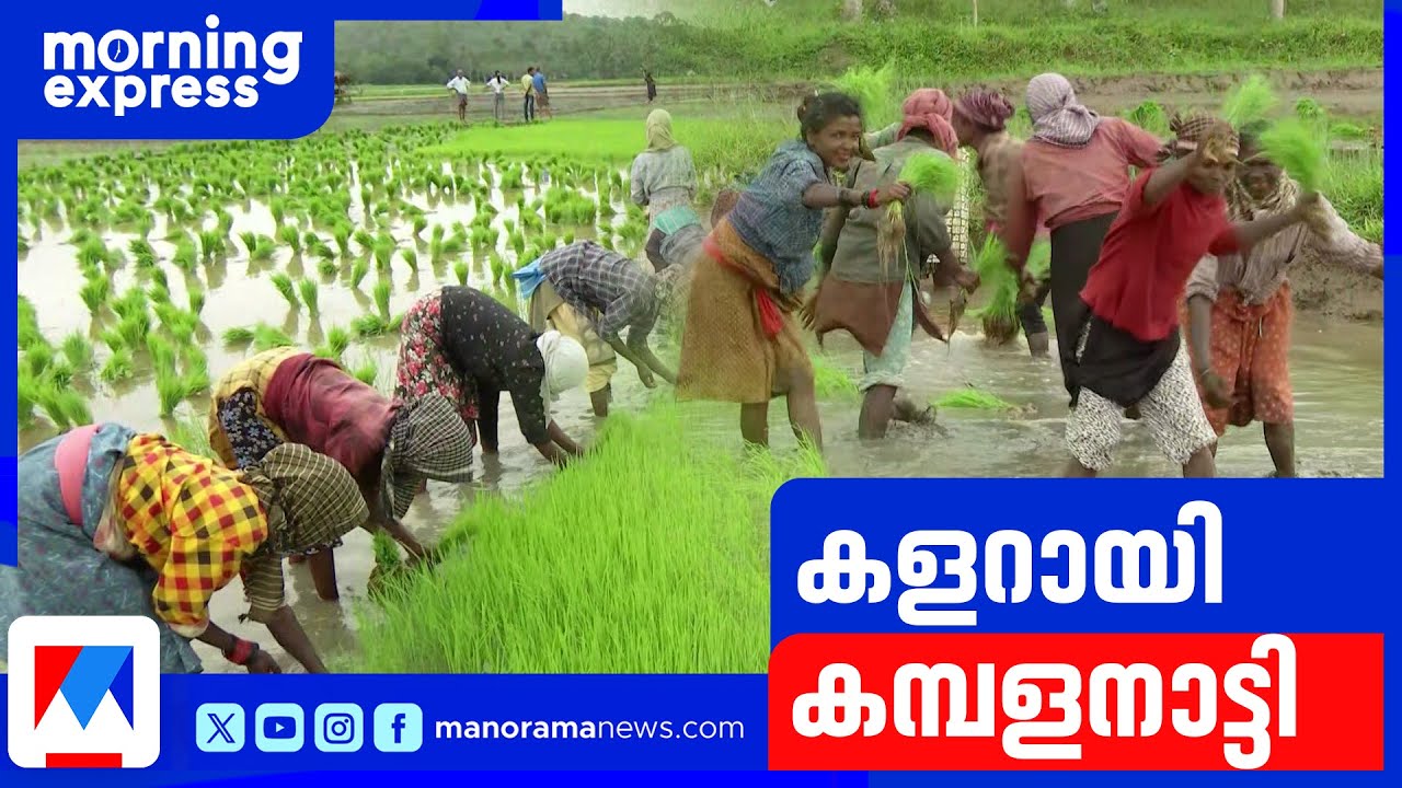 താളമിടുമ്പോൾ സ്ത്രീകൾ പാടത്ത് ഞാറ് നടും; വയനാട്ടില്‍‌ ആഘോഷമായി കമ്പളനാട്ടി ​| Wayanad | Kambalanatti