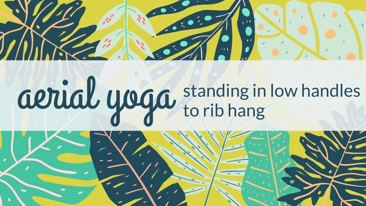 Aerial Yoga: Standing in Low Handles to Rib Suspension