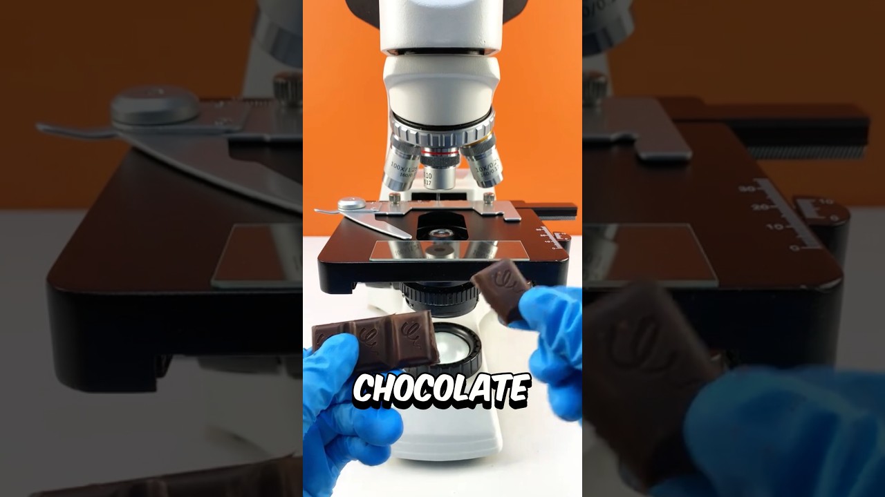 Chocolate under the microscope 🔬😱