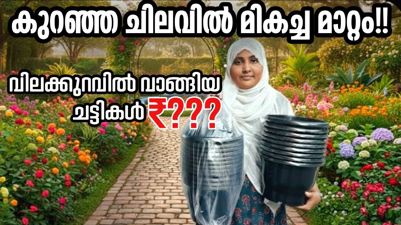 💥വമ്പൻ വിലക്കുറവിൽ വേടിച്ച ച്ചെടിചട്ടികൾ!മനോഹരമായി ഗാർഡൻ സെറ്റ് ചെയ്തപ്പോൾ |Homegardenideas