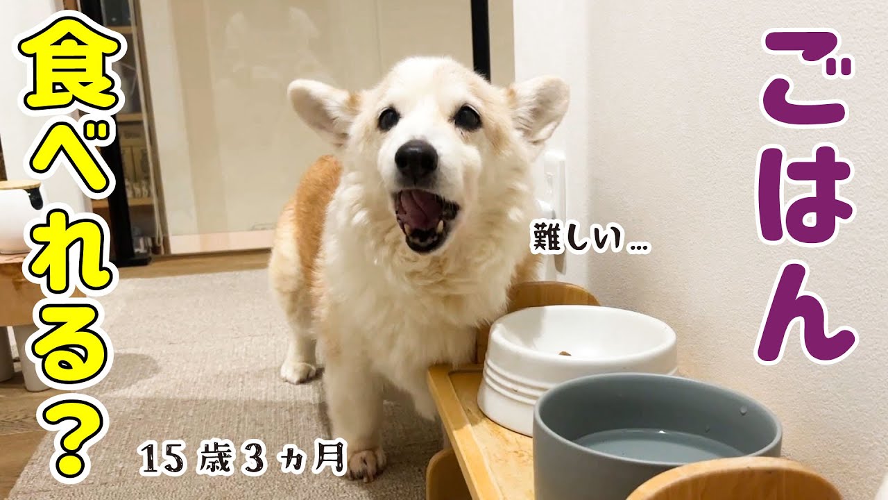 食欲がないと心配になっちゃいます【寒波の日】