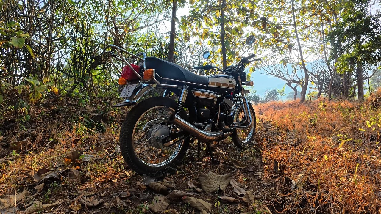 E20 Petrol ft. 2STROKE RX135 YAMAHA | RX KING