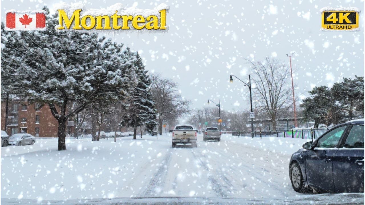 [4K] Second Day of Heavy Snowfall❄️ | A City Covered in White | NDG to LaSalle Drive #snow #montreal