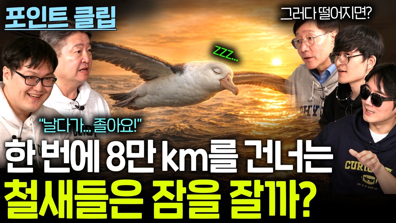 철새들은 바다를 건널 때 잠을 잘까? (안 쉬고 8만 km...?)