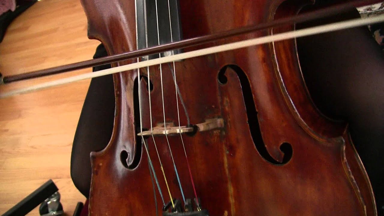 Cello Bella Do That Thing