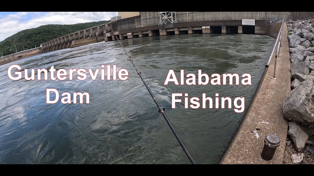 Alabama Fishing - Guntersville Dam