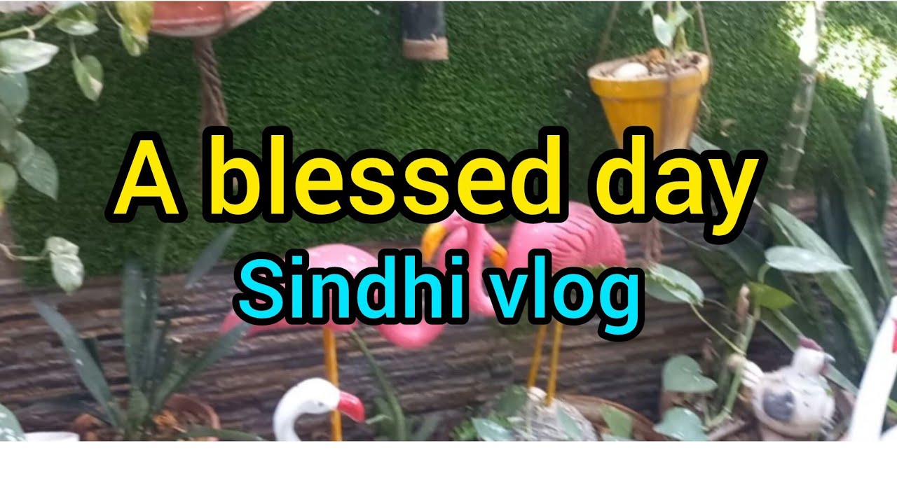 A blessed day 🙏/my daily routine 🪴🪣✂️🫕🥘/sindhi vlog 💕 