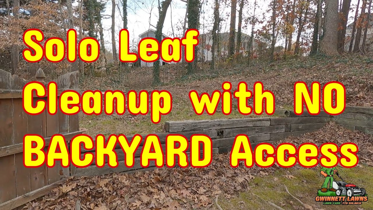 Solo Leaf Cleanup with another backyard I can't get the mower into