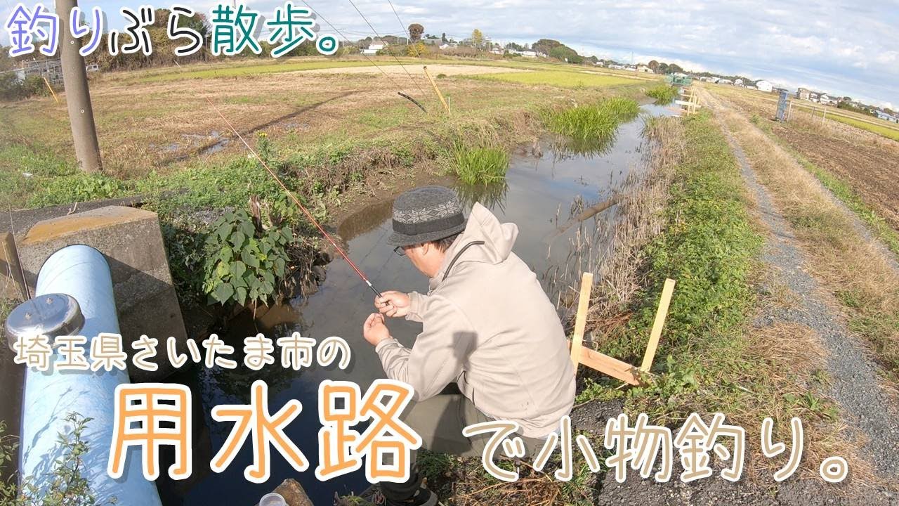 【小物釣り】埼玉県さいたま市の良い感じの用水路で小物釣り。【淡水】