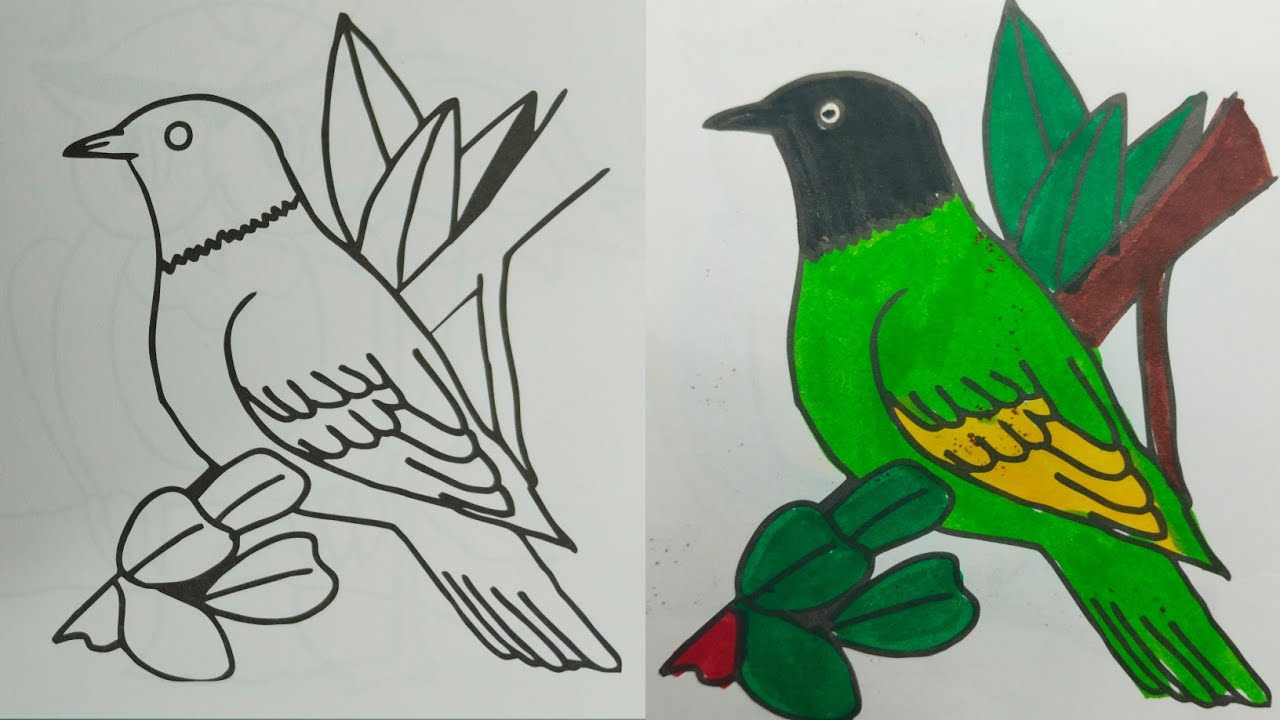 How To Color Birds, Learn Drawing, Kids Coloring video | Vaishu Arts & Magic