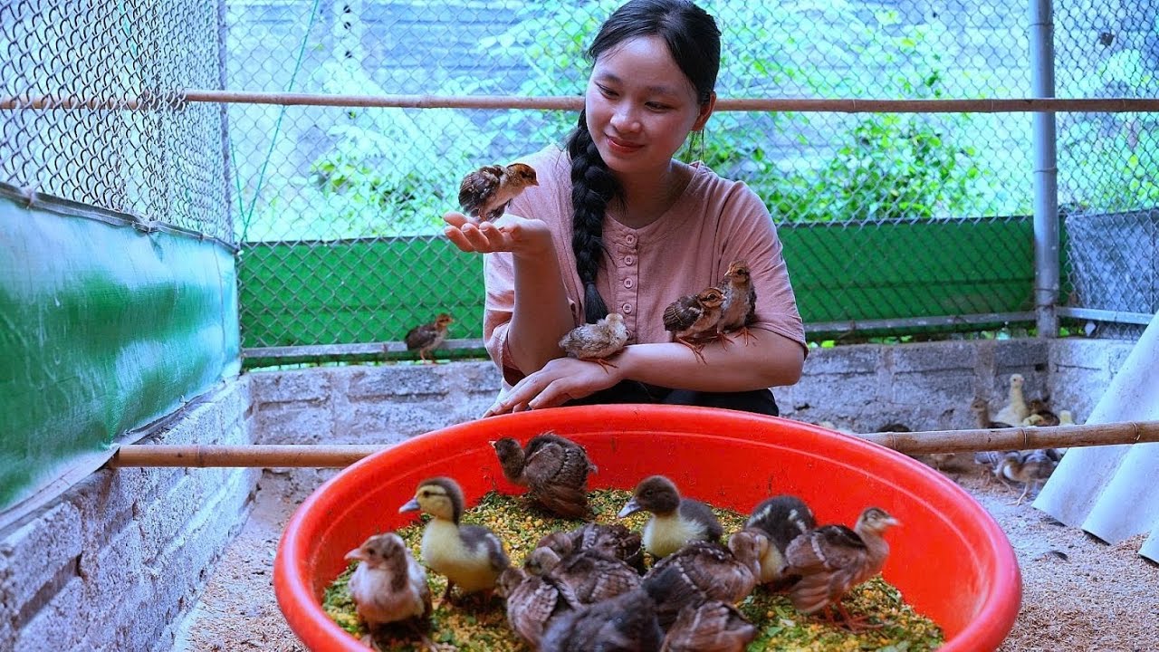 A young girl living on a mountain farm - Beautiful rural scenery | BellaFarm 🐥