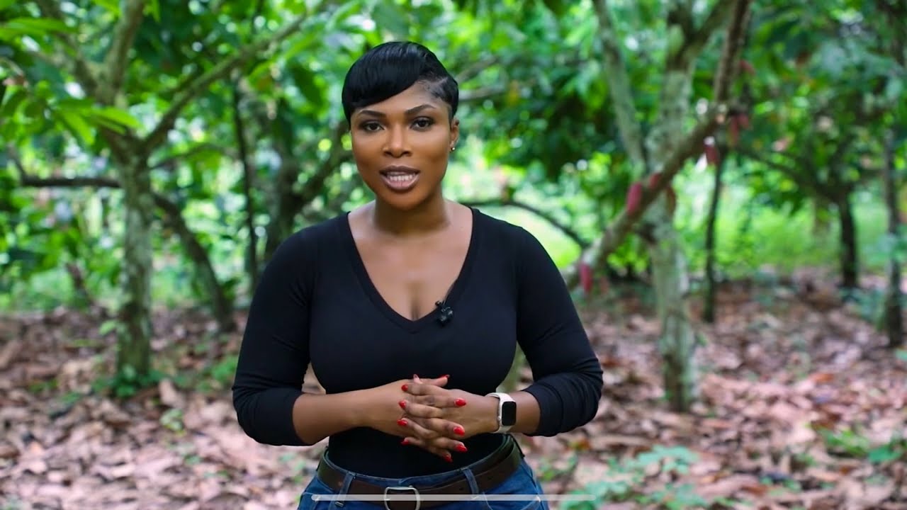 Swollen Shoot Virus: Devastating Cocoa Production and Farmers' Livelihoods in Ghana