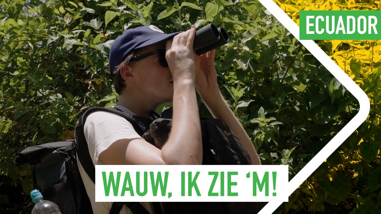 TIM & NIEK op zoek naar ZELDZAME DIEREN in ECUADOR | 3 op Reis