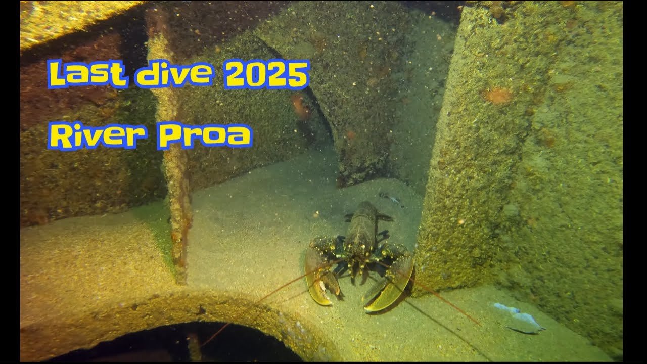 ultimo mergulho do ano - last dive of the year - River Gurara Proa