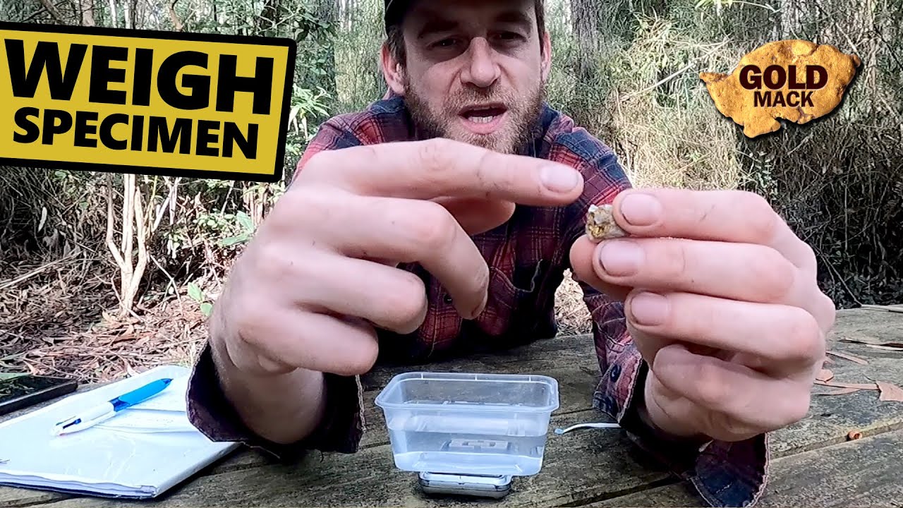 How to Estimate Gold Specimens Weight Using Specific Gravity