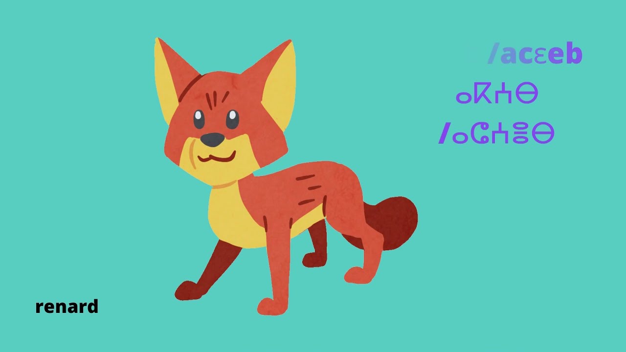 Apprendre rifain aux Enfants: 3 minutes pour apprendre dix mots d'animaux de langue rifaine/tarifit