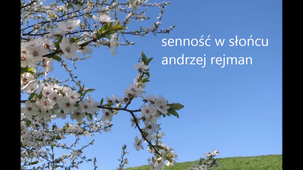 Senność w słońcu //  Andrzej Rejman