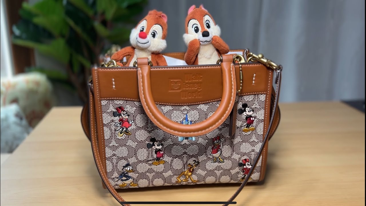 Closer look at Disney X Coach Rogue Bag 25, What fits inside & MODSHOTS