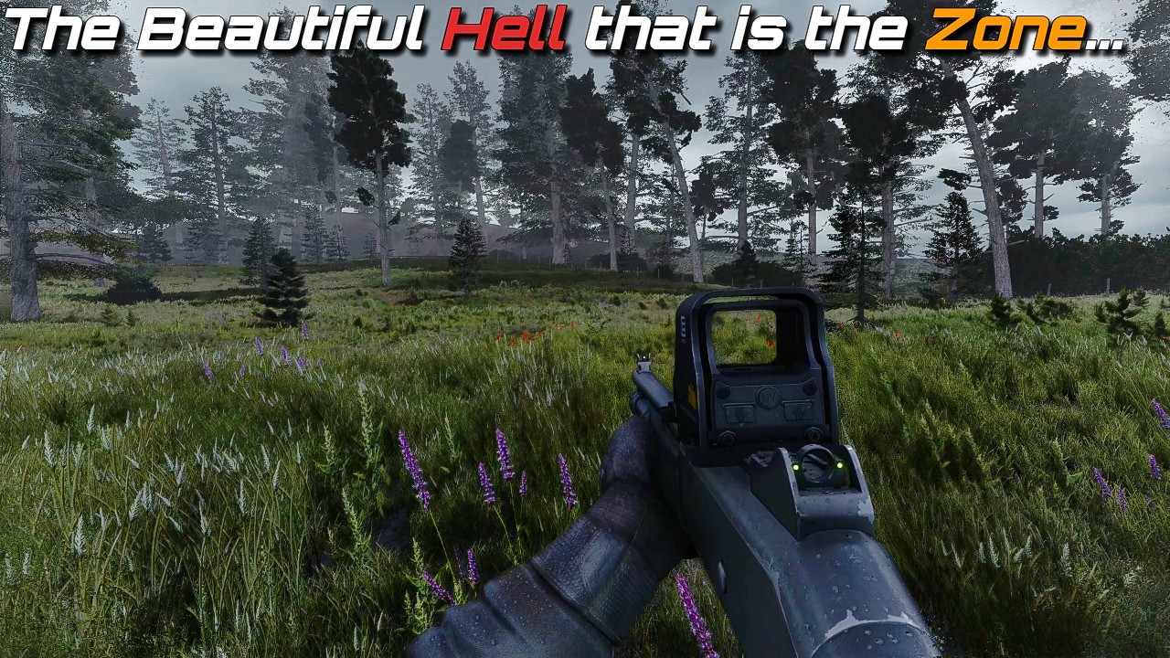 The Average Rainy Day in Stalker Anomaly... - (Stalker Gamma)