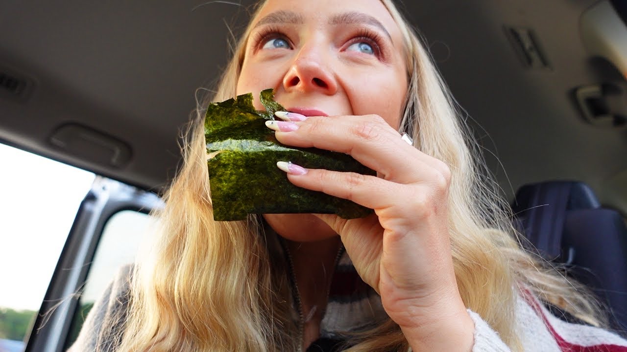 alleine in Japan Dreiecke aus Reis essen type of vlog