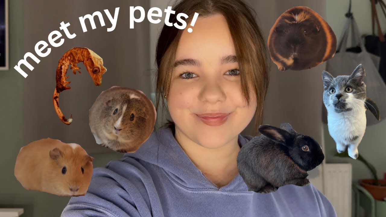 Meet all of my pets!