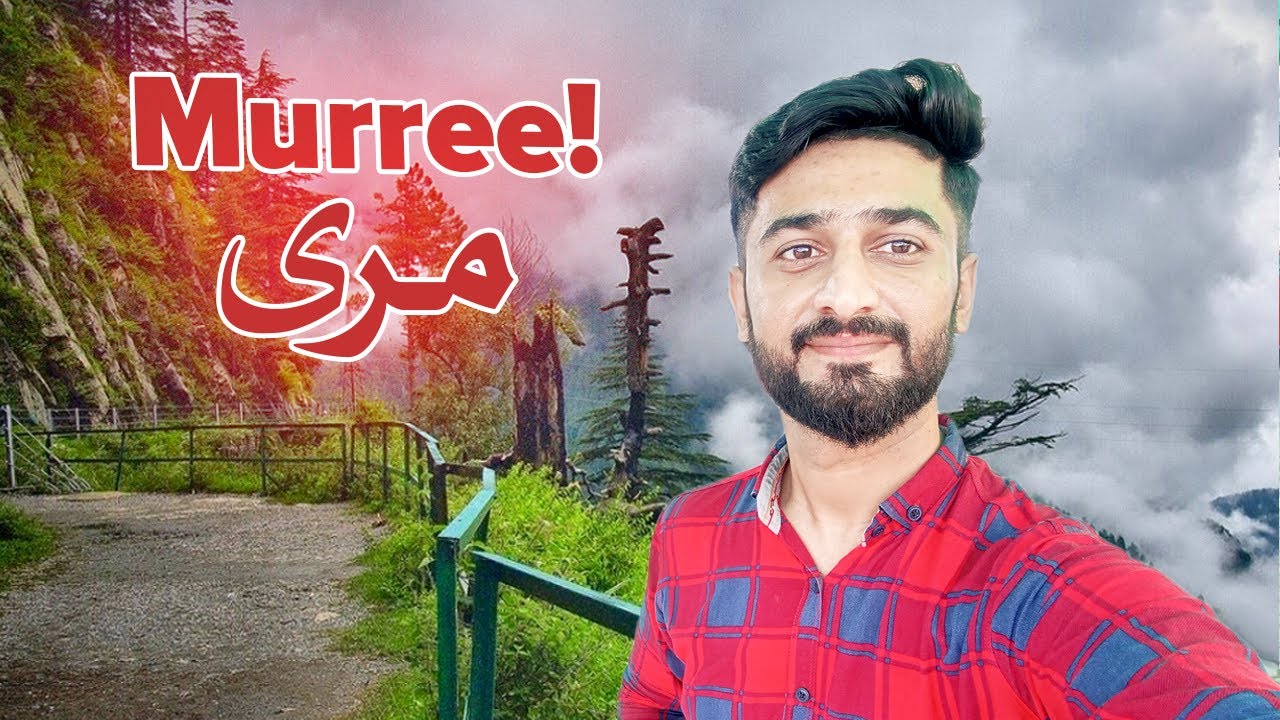MURREE tour on 14 AUGUST!  Murree mall road most beautiful cloudy weather  😃 #murree