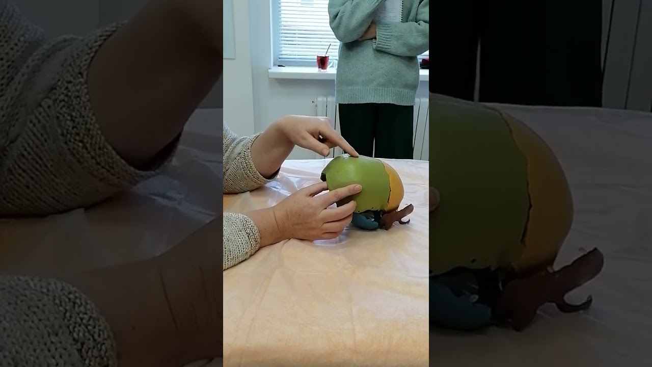 Фрагмент семинара  OSTEOCLUB 