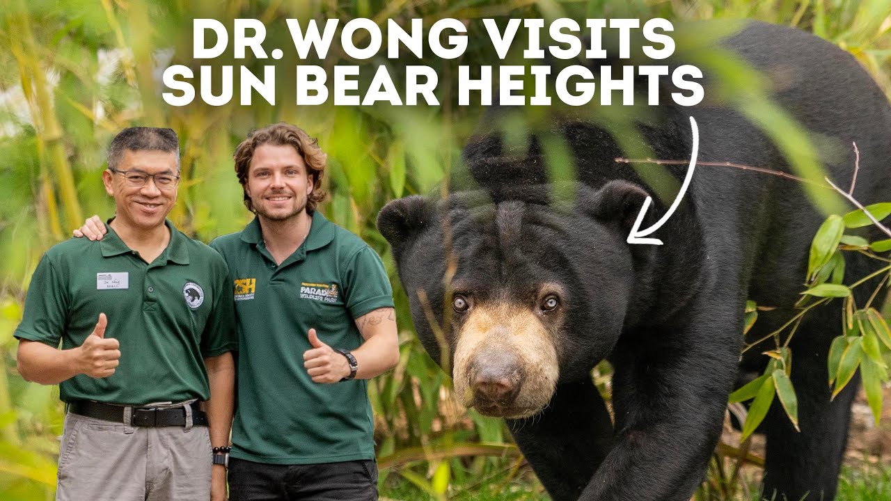 From Borneo to Broxbourne! | Behind the Zoo