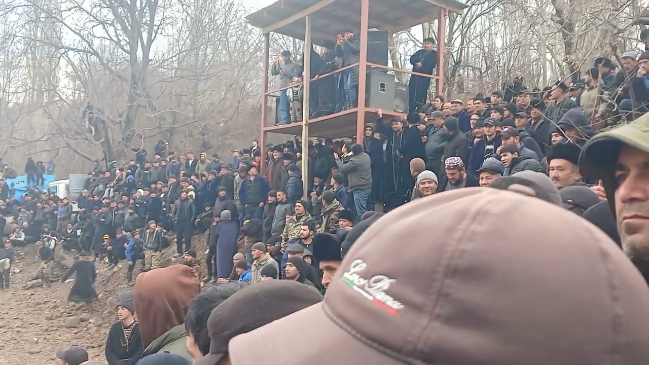 хисорак