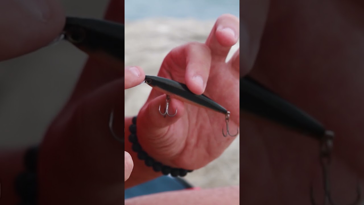 5 SE&Ntilde;UELOS para el ROCKFISHING