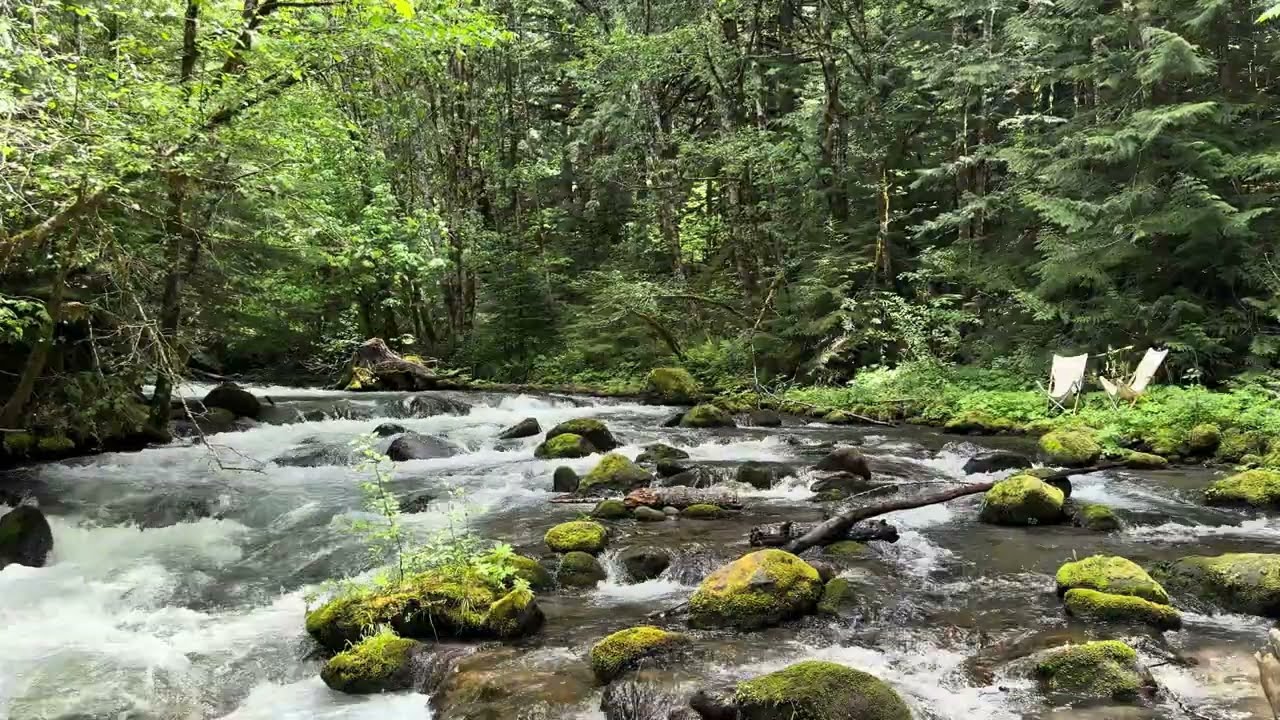 Zigzag River, Oregon in 4k@60fps (Scenic, Calming, Relaxing, Meditative, Ambient Nature Backgrounds)