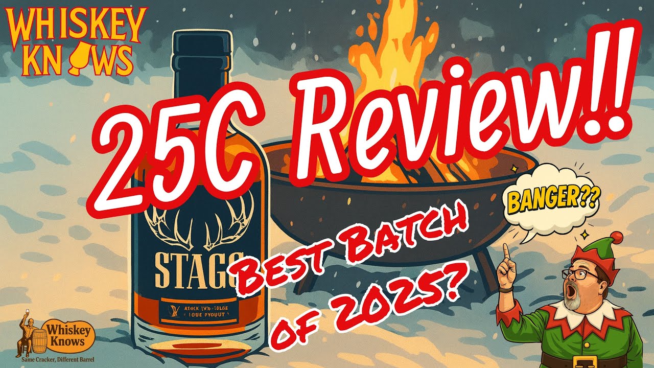 Обзор Stagg 25C