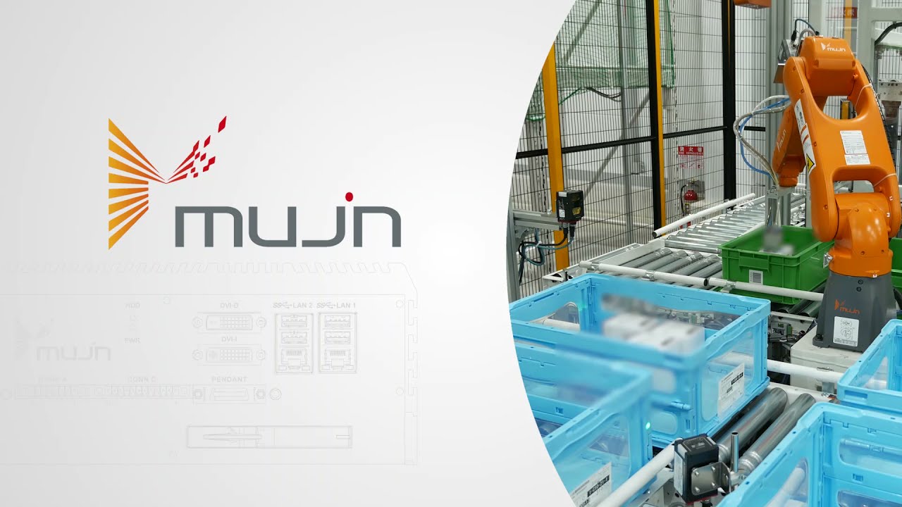 Medicine piece-picking robot for Hitachi Transport System