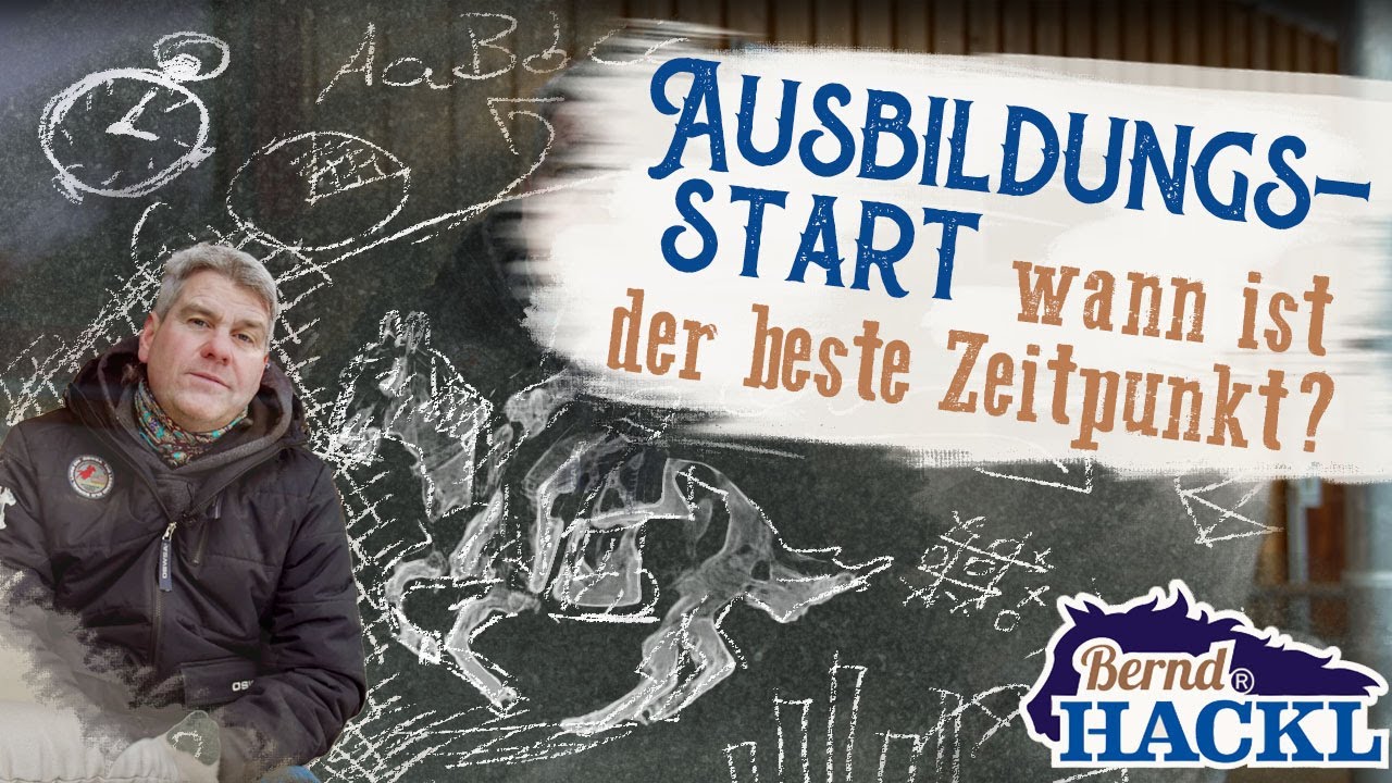 Wann starte ich mit der Pferdeausbildung? | Bernd Hackl erklärt! 🐴