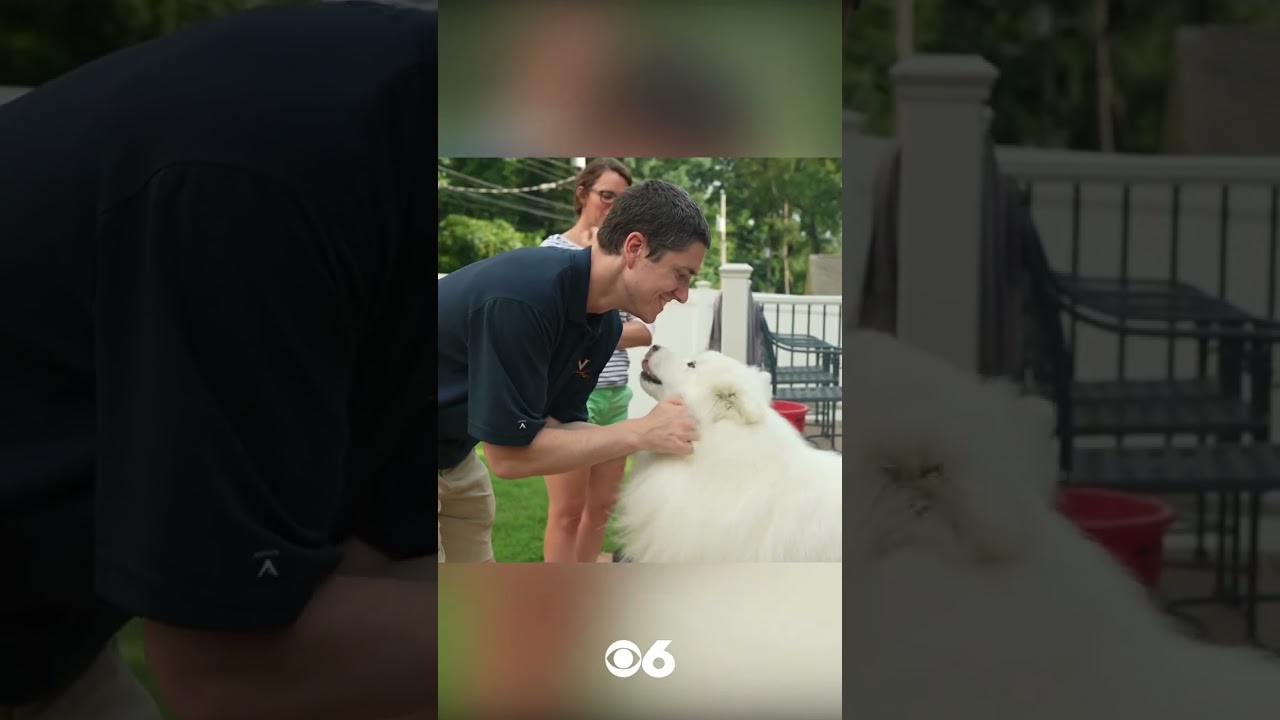 Meet Marshmallow, Richmond's official dog ambassador for 804 Day festival