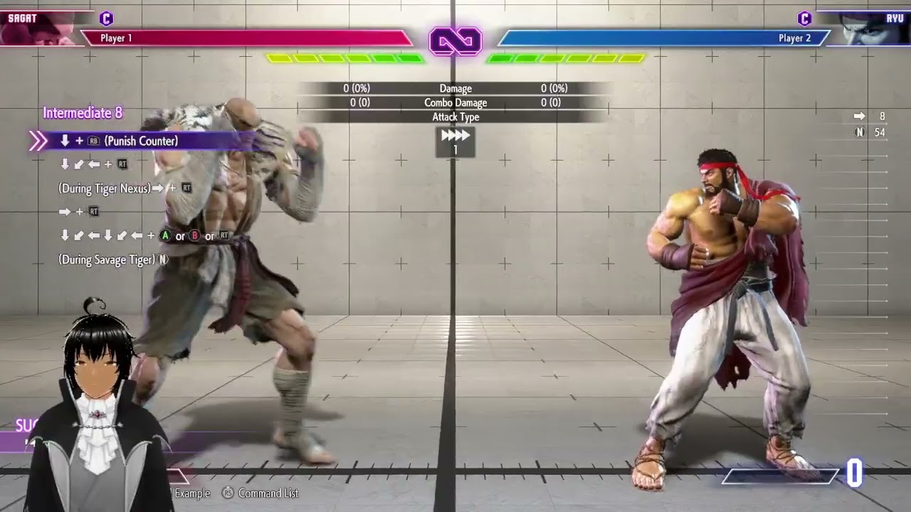 Sagat Combo Trials + some ranked
